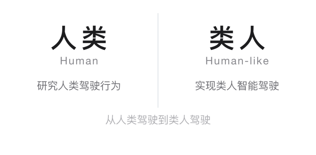 人类与类人：一组镜像
